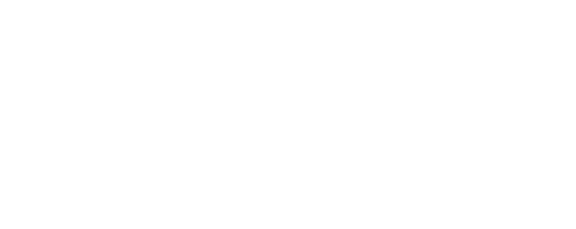 Naksu logo bílé